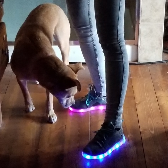 Meet Your Posher Odi'e - Picture 1 of 6